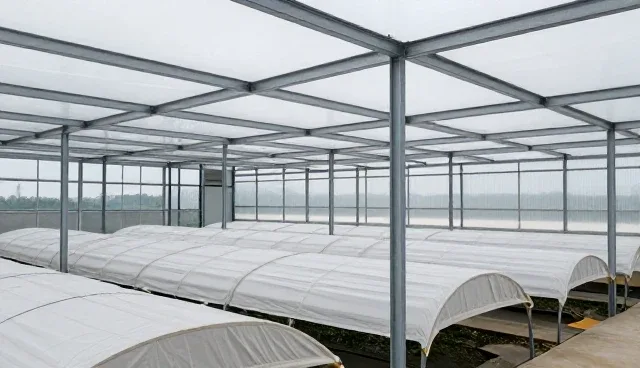 服务器性能优化的5个检查要点及应用场景分析